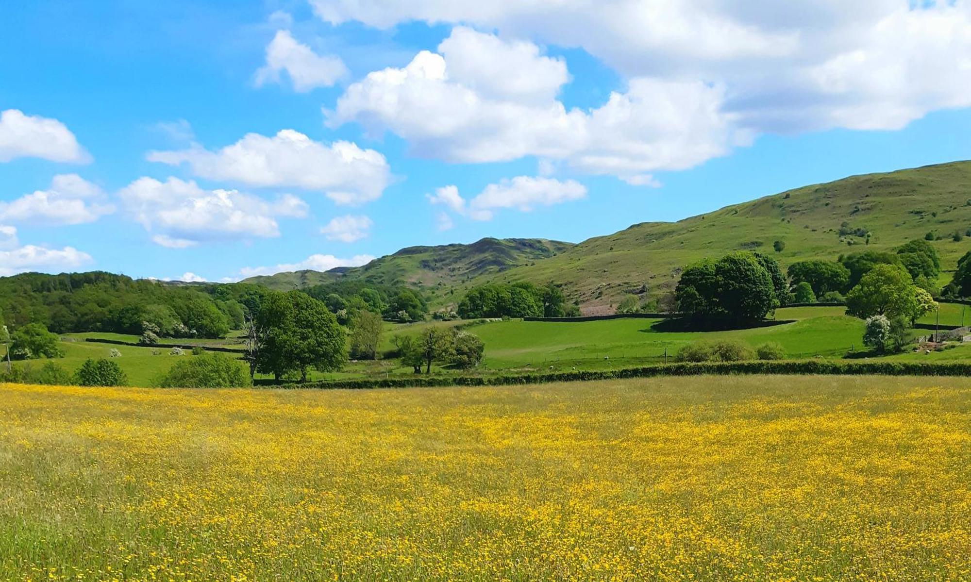 Ling Fell Cottage Ulverston Esterno foto