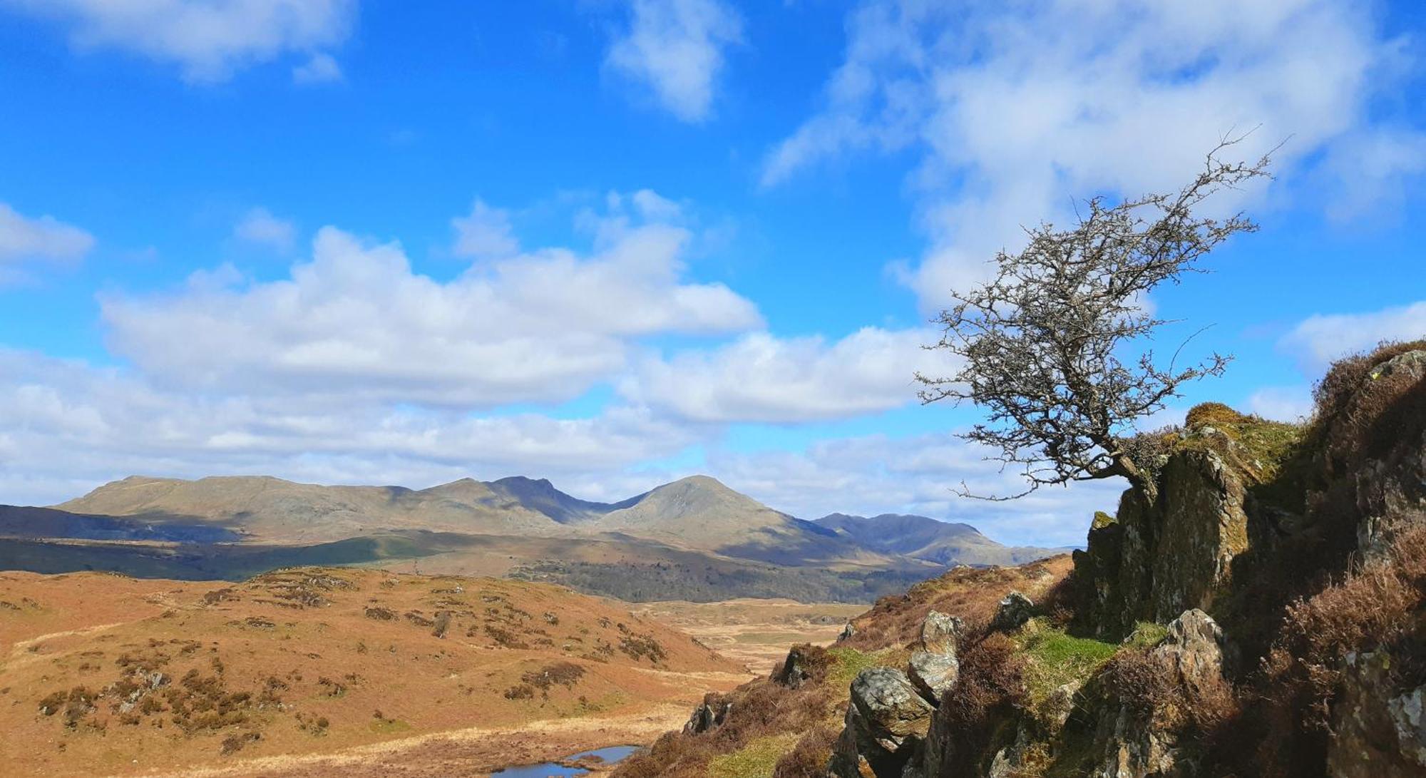 Ling Fell Cottage Ulverston Esterno foto